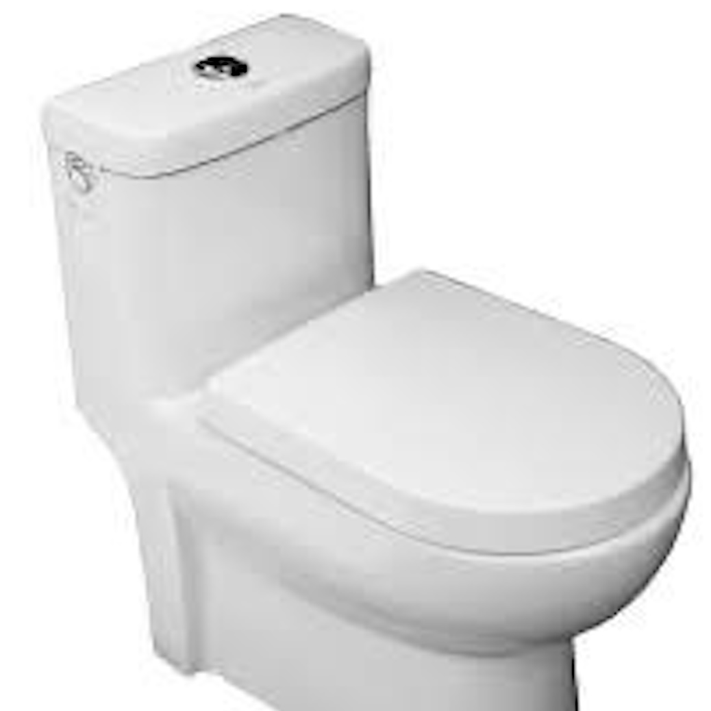 That's the sound of a toilet flushing.